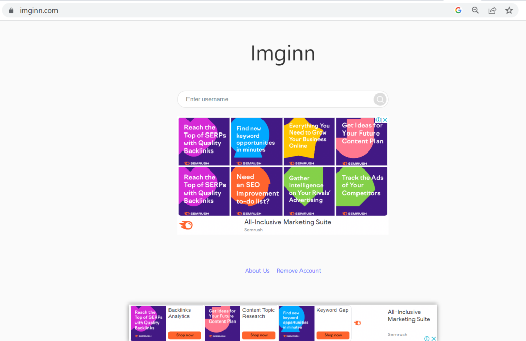 Imginn Homepage