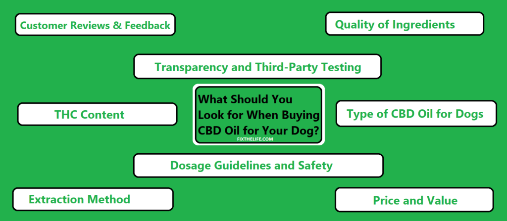 How to Choose CBD oil for Dogs?