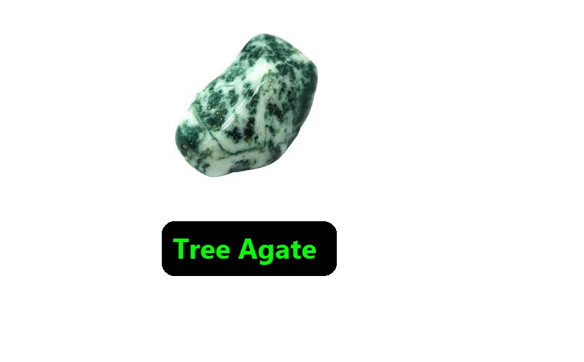  Tree Agate a green crystal