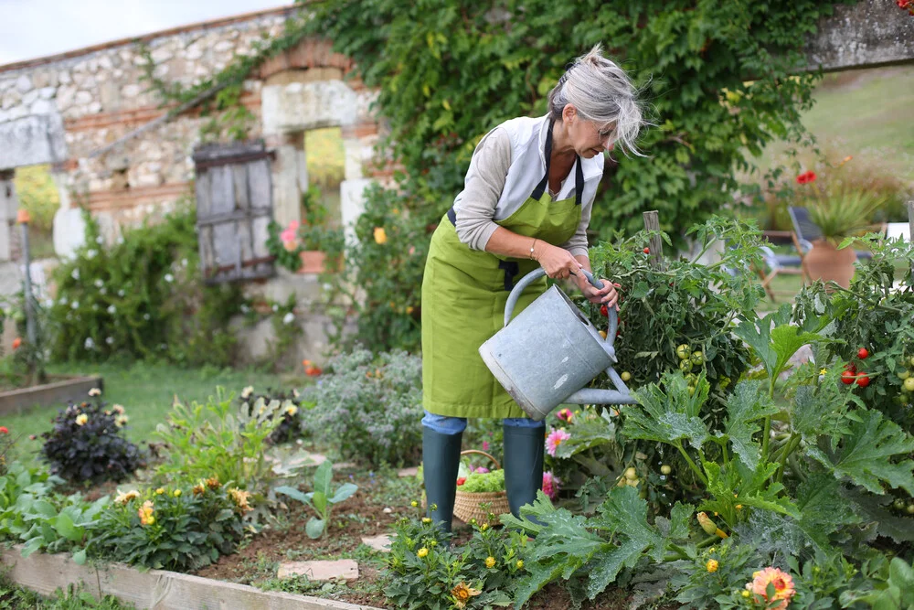 women enjoying the hobby of gardening as she lovingly waters her plants indulging in hobbies for women in 50s