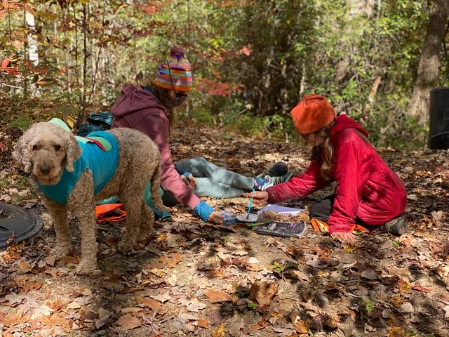 Behind the Headlines: Investigating Trails Carolina Horror Stories