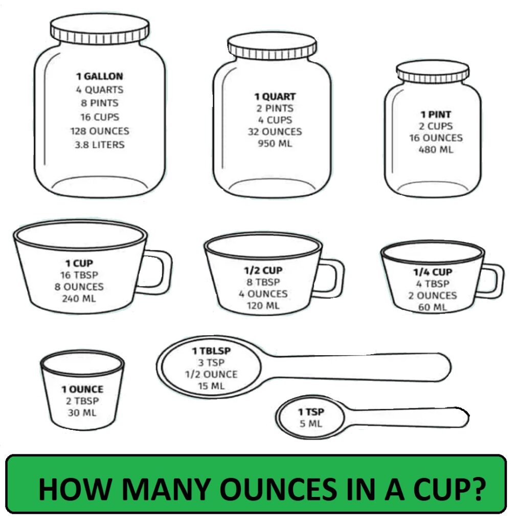 How Many Ounces Are In A Cup Fixthelife