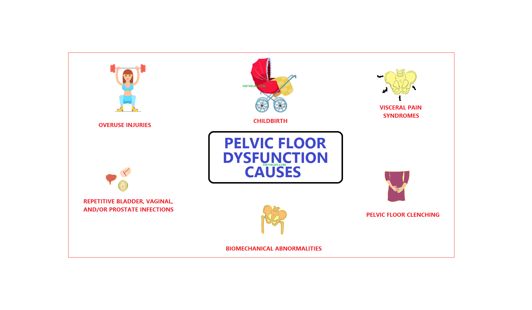 What is Hypertonic Pelvic Floor: Causes, Symptoms and Treatment ...